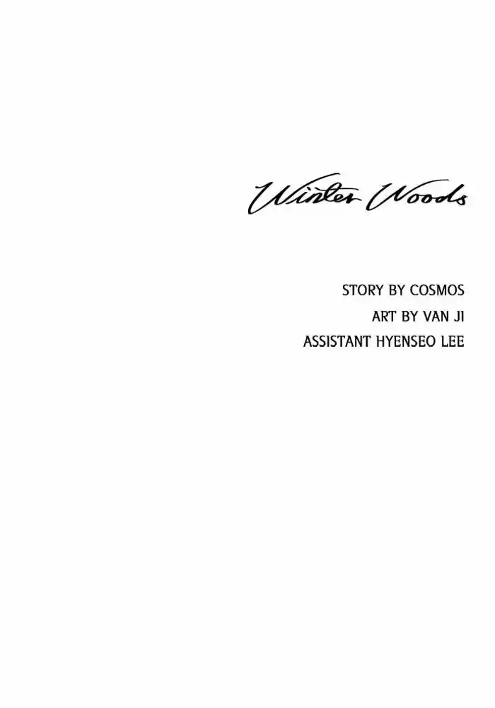 Winter Woods 15