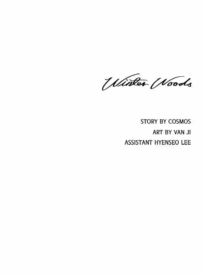 Winter Woods 19