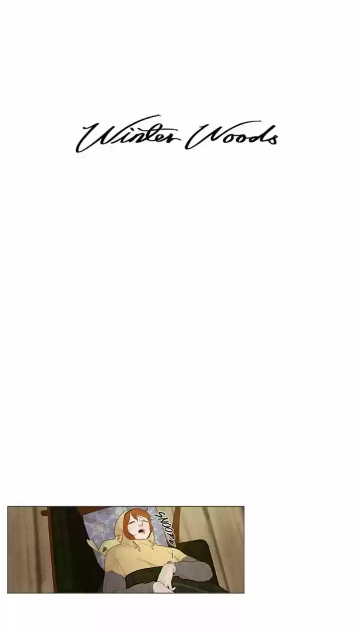 Winter Woods 28