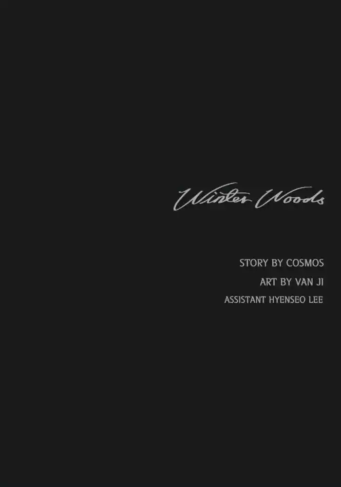 Winter Woods 32