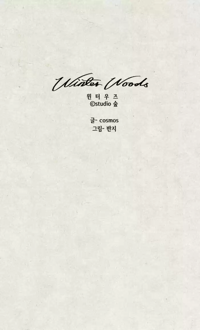 Winter Woods 56