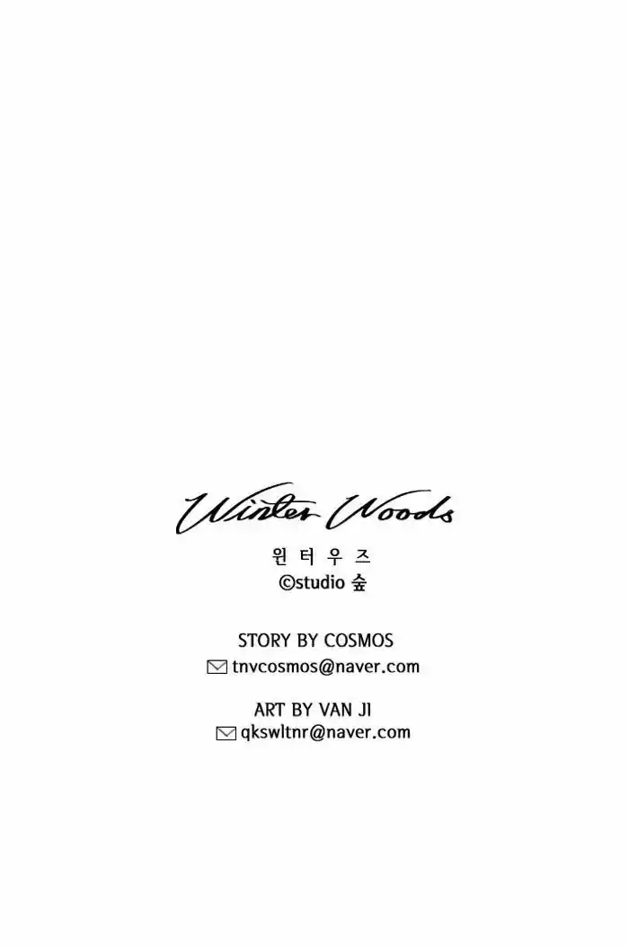 Winter Woods 68