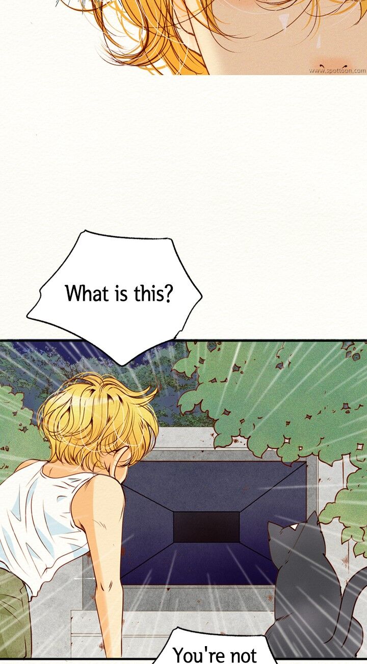 Witch Workshop Ch.082