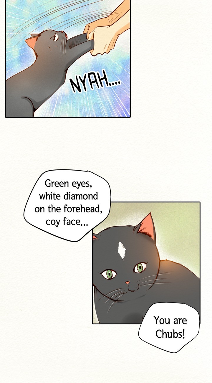 Witch Workshop Chapter 51