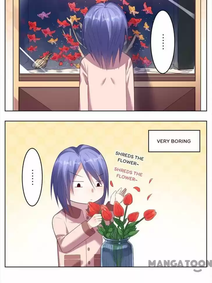 Wo Bei Zongcai hei shangle! Ch.044