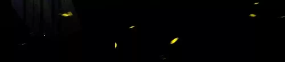 Wo Bei Zongcai hei shangle! Ch.101