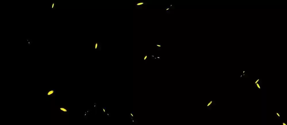 Wo Bei Zongcai hei shangle! Ch.131