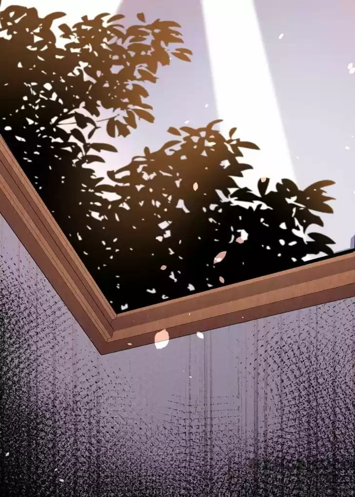 Wo Bei Zongcai hei shangle! Ch.148