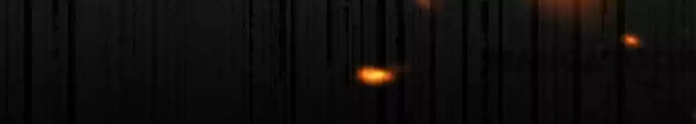 Wo Bei Zongcai hei shangle! Ch.149