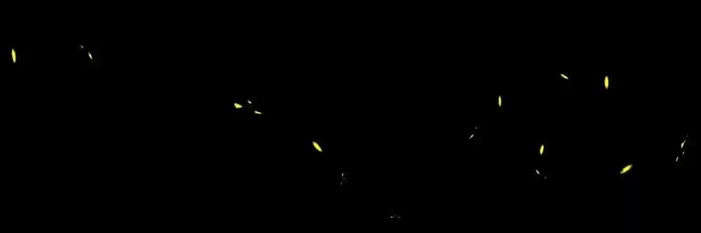 Wo Bei Zongcai hei shangle! Ch.174