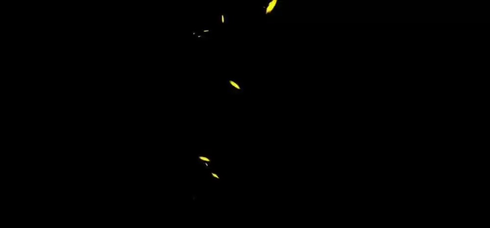 Wo Bei Zongcai hei shangle! Ch.190