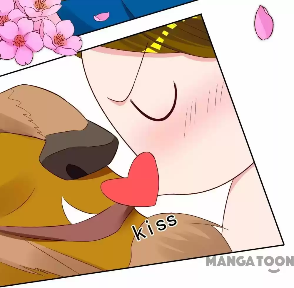 Wo Bei Zongcai hei shangle! Ch.243