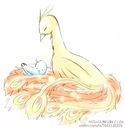 Wo Jia Dashi Xiong Naozi You Keng 164.5