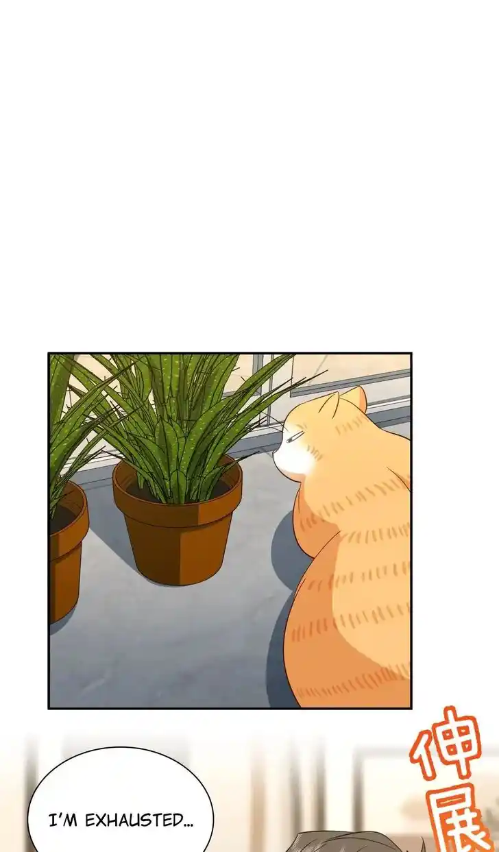 Wojia Laopo Laizi Yiqian Nian Qian Ch.333