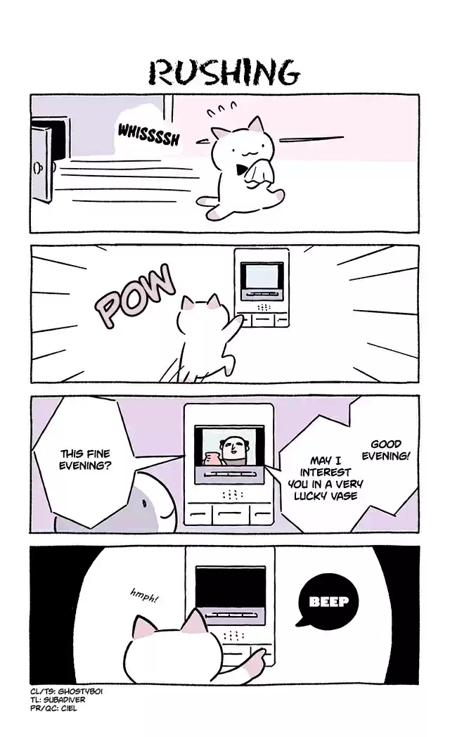 Wonder Cat Kyuu-chan 781