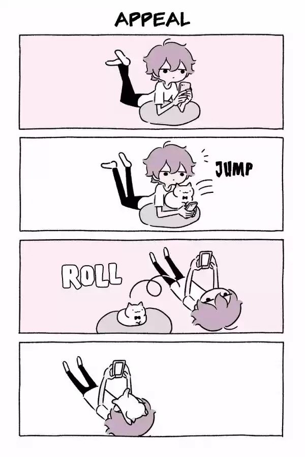 Wonder Cat Kyuu chan Ch. 113 Appeal