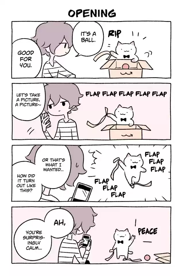 Wonder Cat Kyuu chan Vol. 3 Ch. 287 Opening