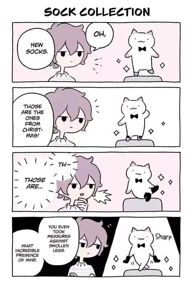 Wonder Cat Kyuu chan Vol. 3 Ch. 292 Sock Collection