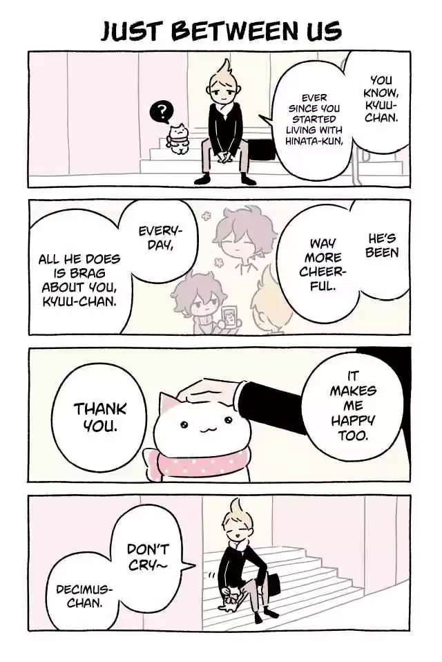 Wonder Cat Kyuu chan Vol. 4 Ch. 312 Just Between Us