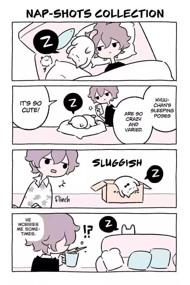 Wonder Cat Kyuu chan Vol. 4 Ch. 338 Nap Shots Collection