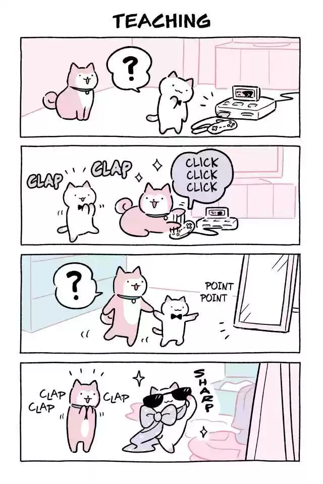 Wonder Cat Kyuu chan Vol. 5 Ch. 449 Teaching