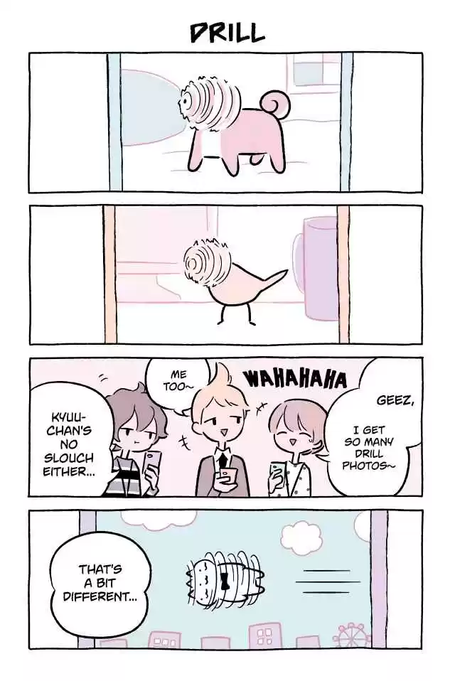 Wonder Cat Kyuu chan Vol. 5 Ch. 484 Drill