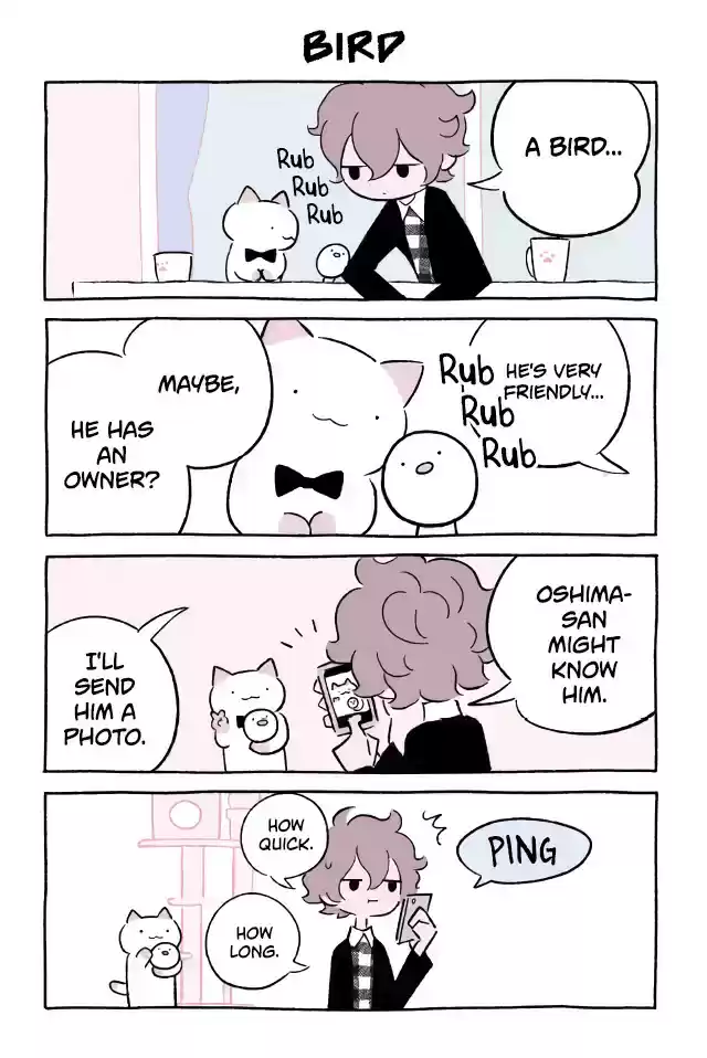 Wonder Cat Kyuu chan Vol. 6 Ch. 543 Bird