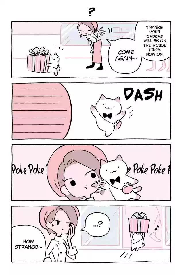 Wonder Cat Kyuu chan Vol. 6 Ch. 595 ?