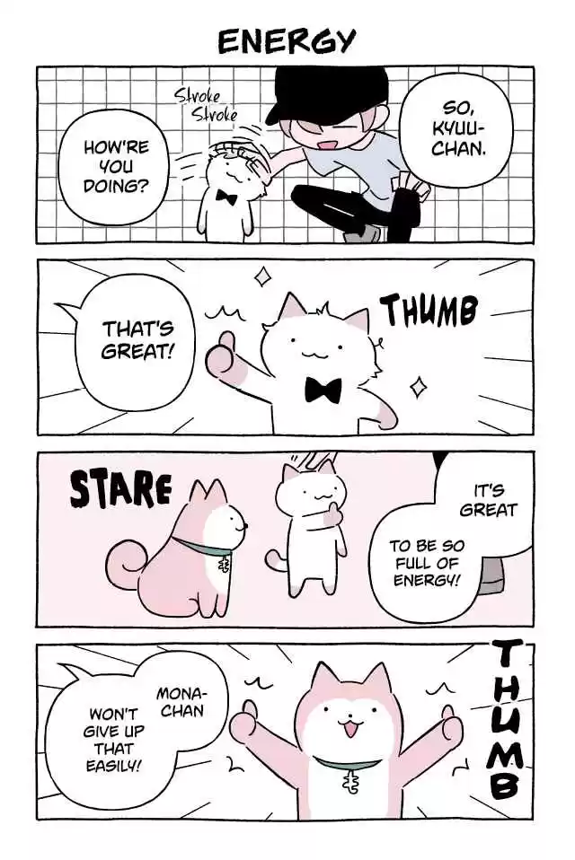 Wonder Cat Kyuu chan Vol. 6 Ch. 620 Energy