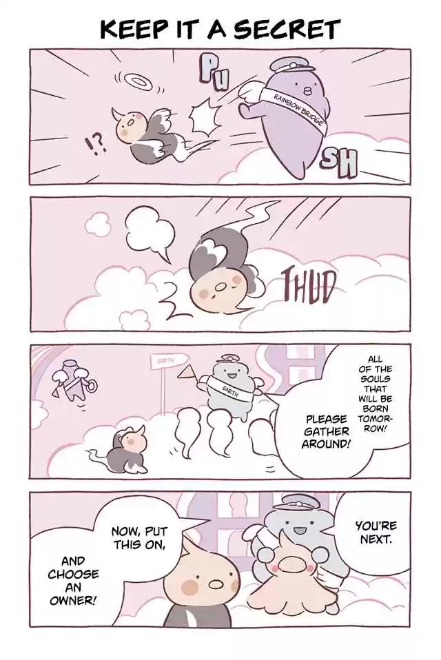 Wonder Cat Kyuu chan Vol. 7 Ch. 691 Keep It a Secret