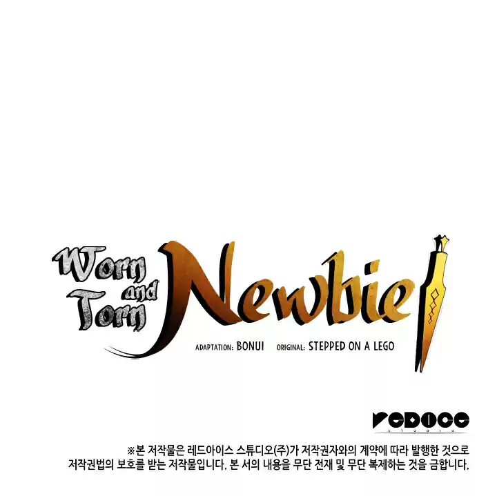 Worn and Torn Newbie Ch. 21