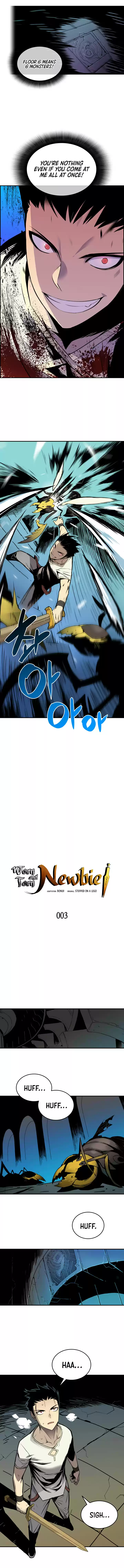 Worn and Torn Newbie Ch. 3