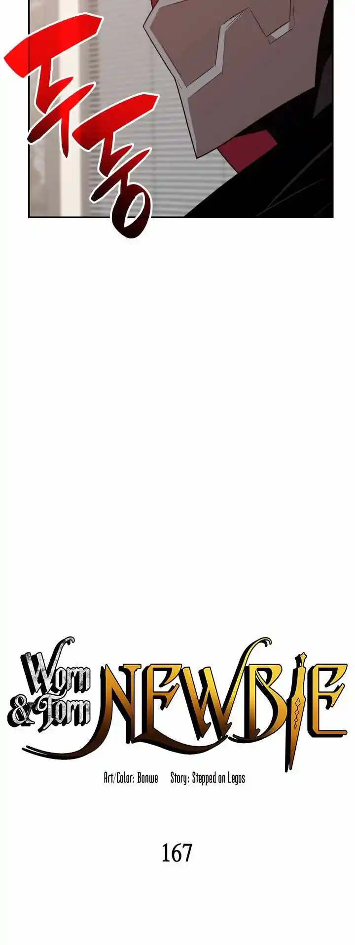 Worn and Torn Newbie Chapter 167