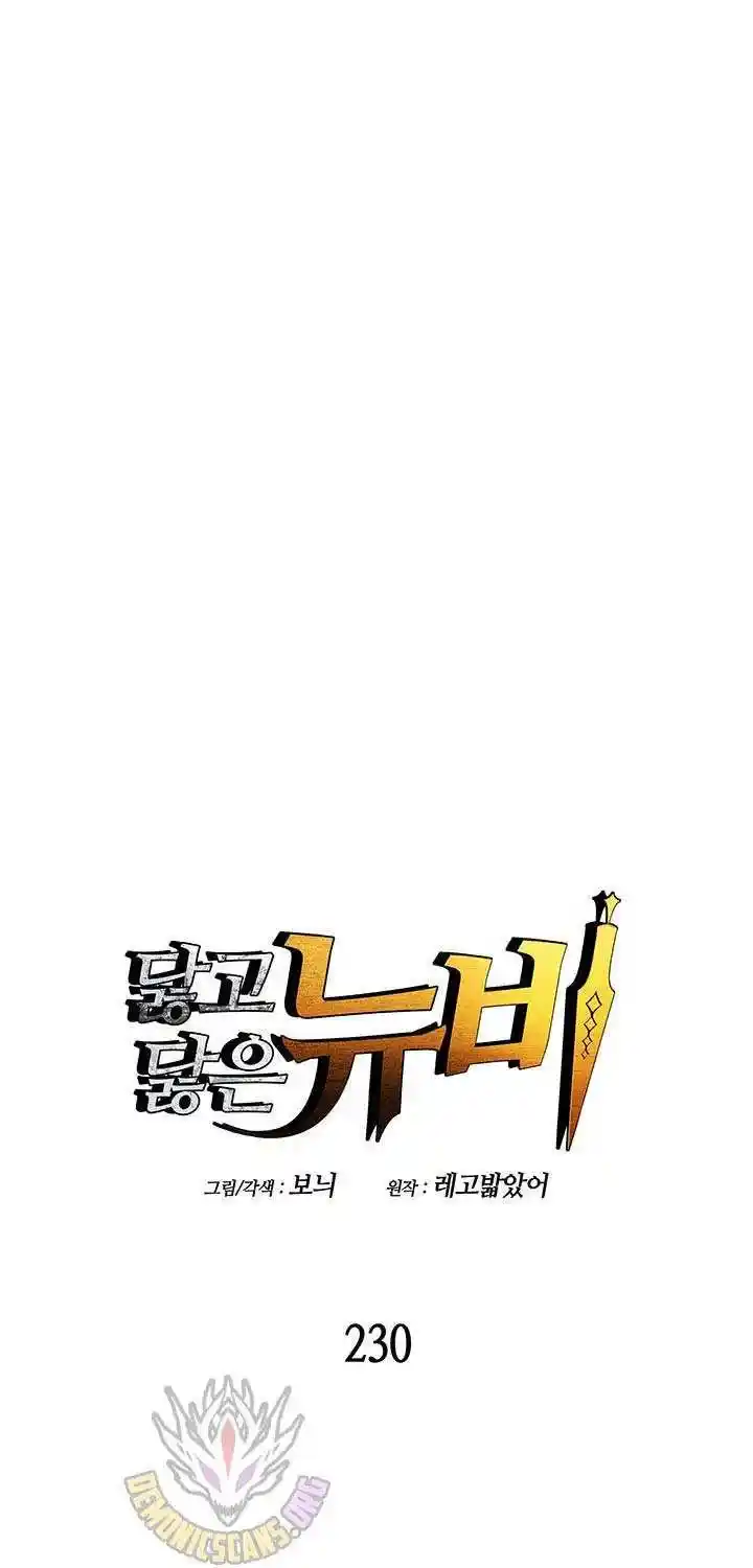 Worn And Torn Newbie Chapter 230