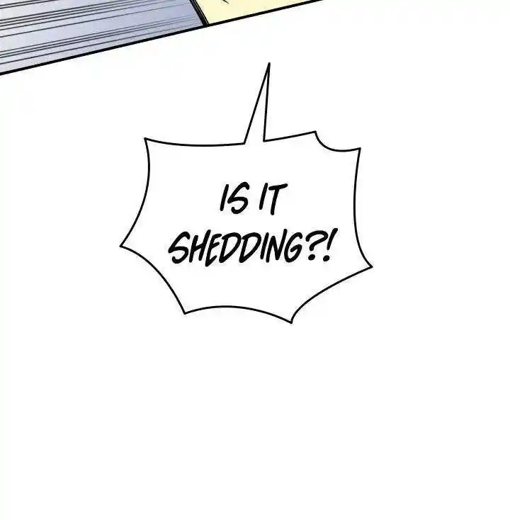 Worn And Torn Newbie Chapter 90.1