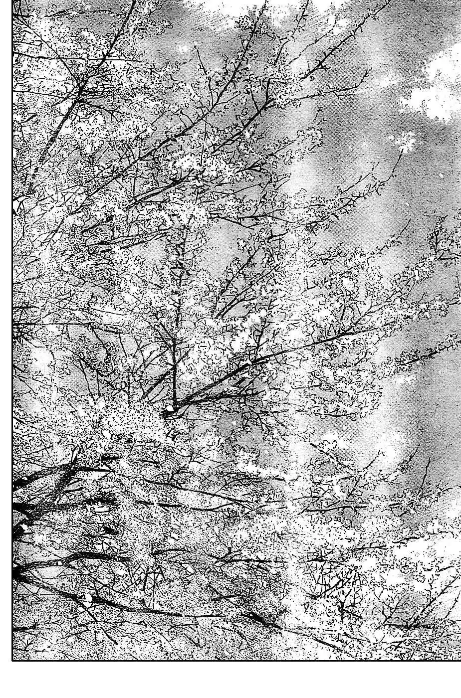 Worst Vol. 33 Ch. 131 That´s Too Bad!