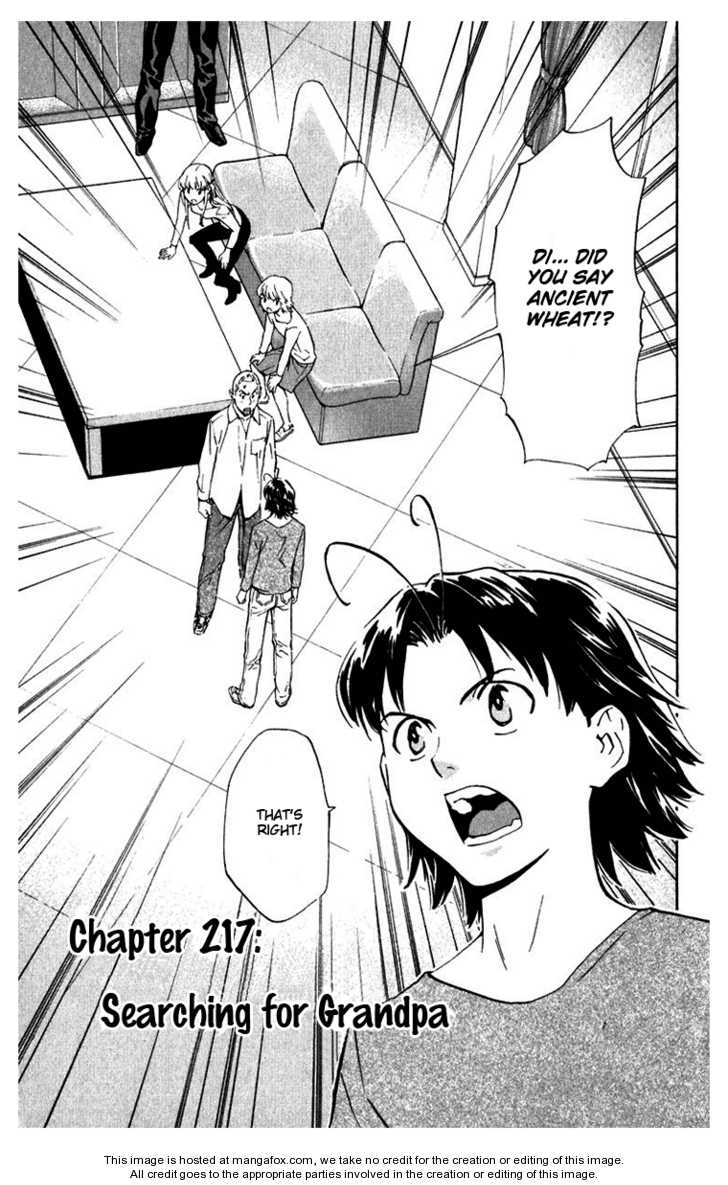 Yakitate!! Japan 217