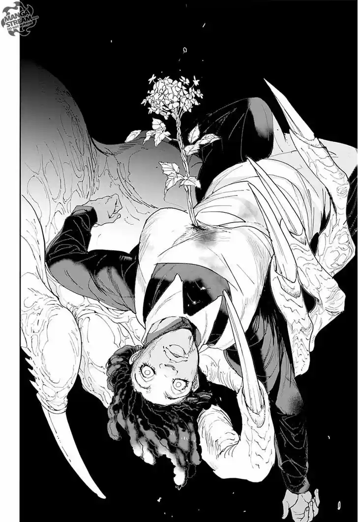 Yakusoku no Neverland 23