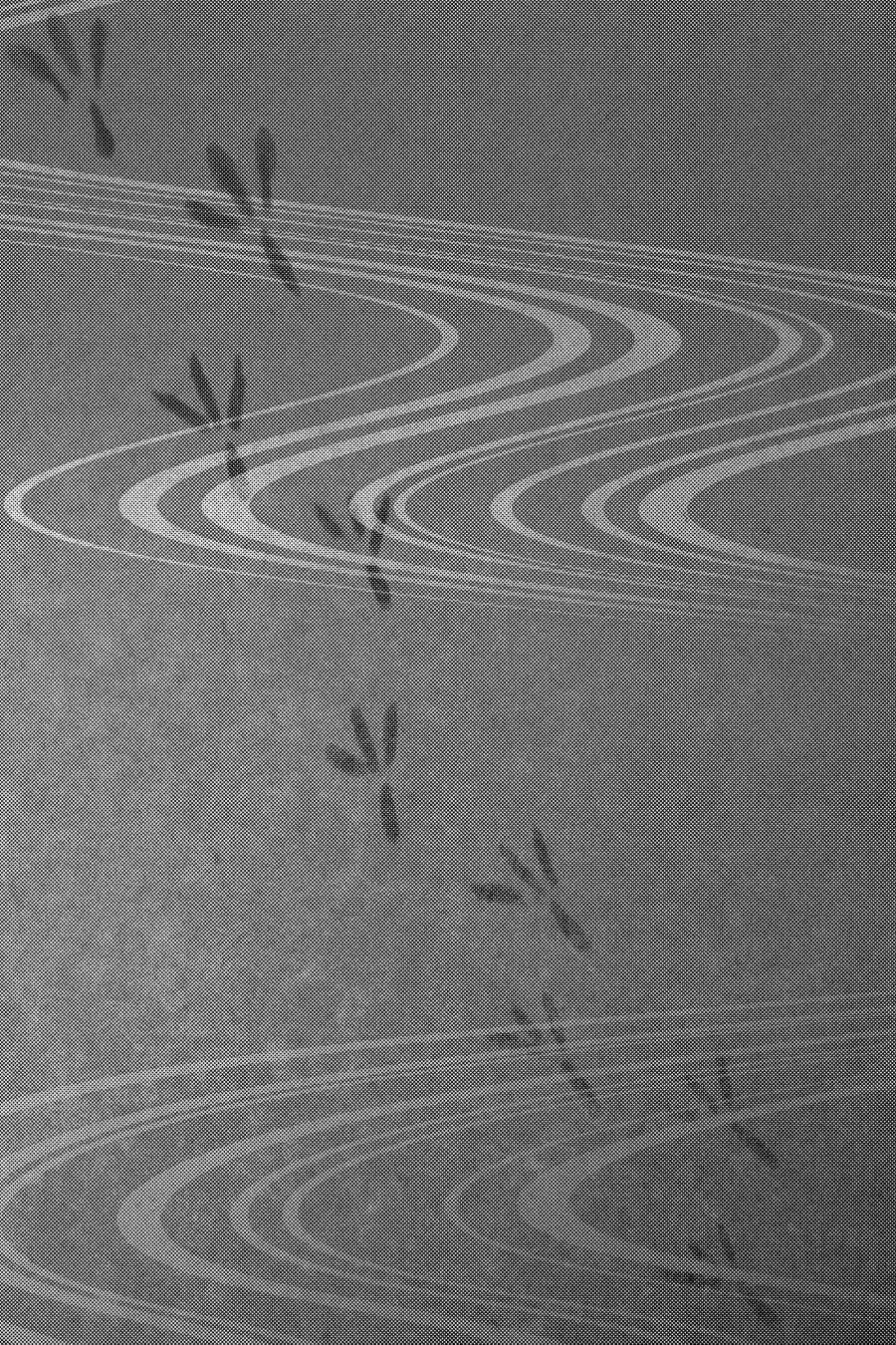 Youkai Apato No Yuuga Na Nichijou Volume 10 Chapter 46