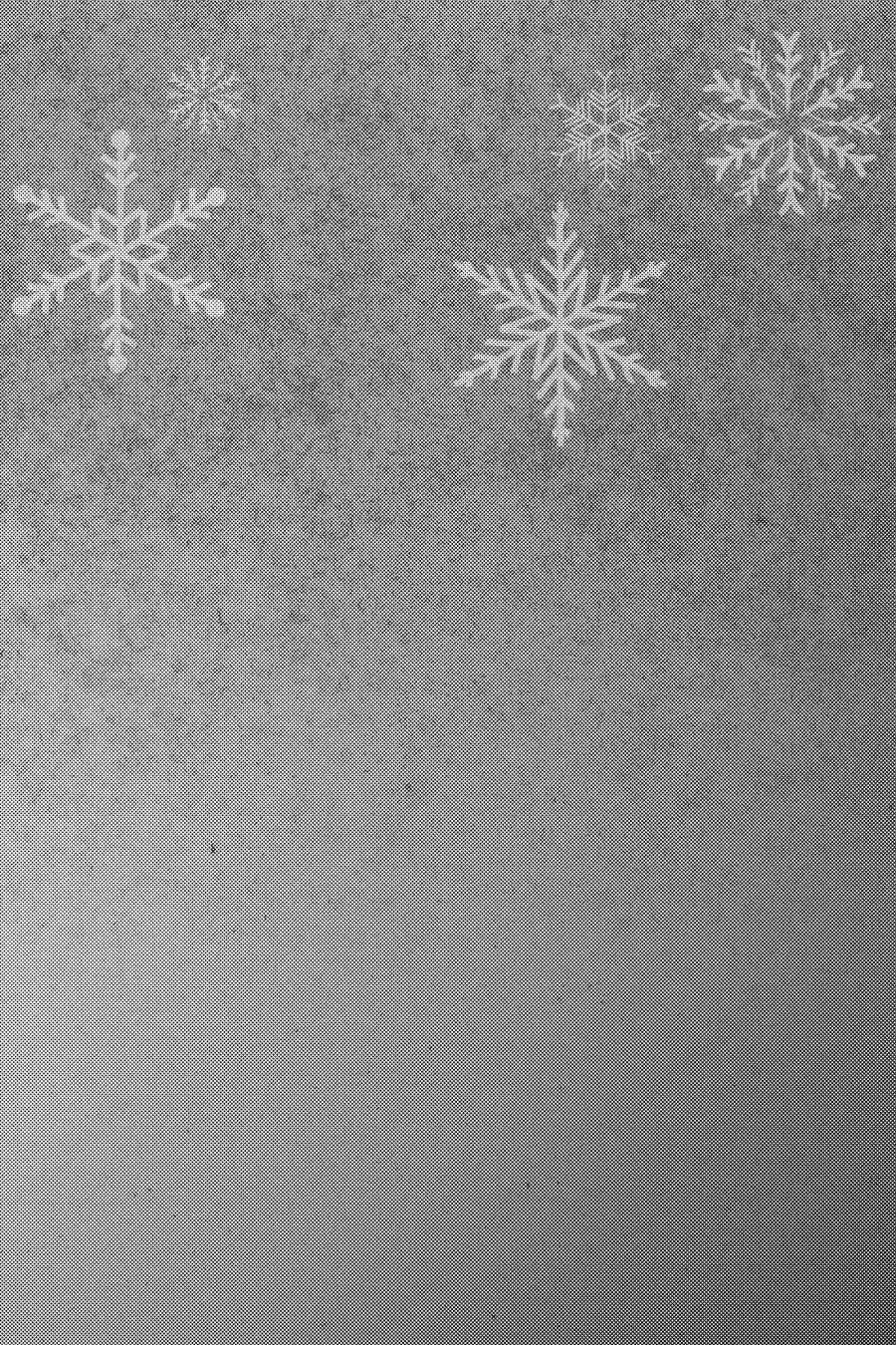 Youkai Apato No Yuuga Na Nichijou Volume 11 Chapter 51