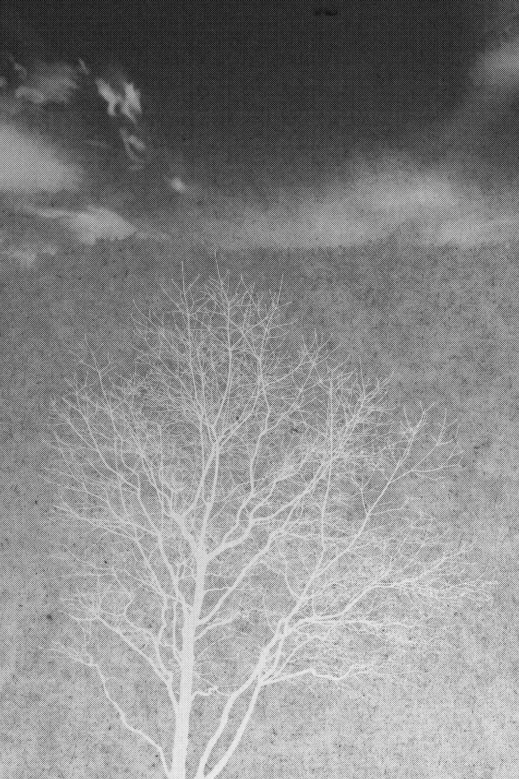 Youkai Apato No Yuuga Na Nichijou Volume 18 Chapter 89