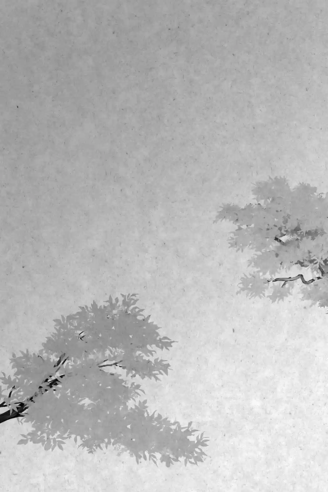 Youkai Apato No Yuuga Na Nichijou Volume 20 Chapter 97