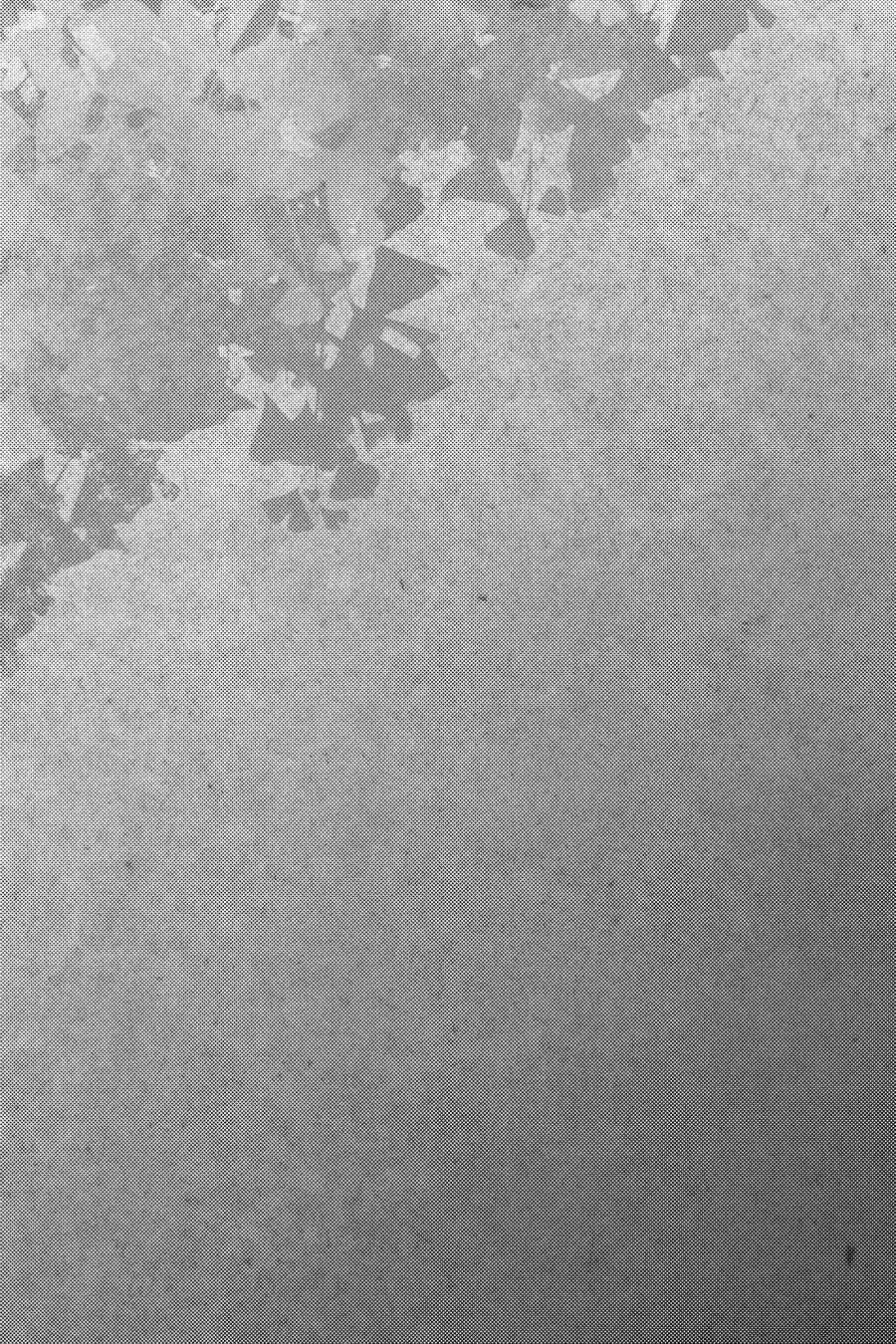 Youkai Apato No Yuuga Na Nichijou Volume 9 Chapter 41