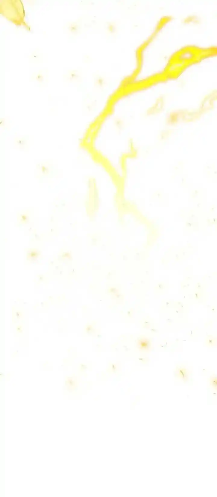 Youngest Princess Ch.187