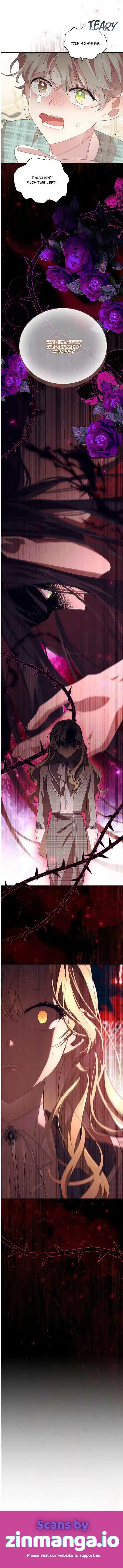 Youngest Princess Chapter 167