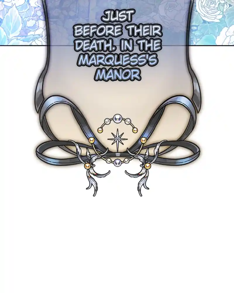 Your Throne Chapter 132