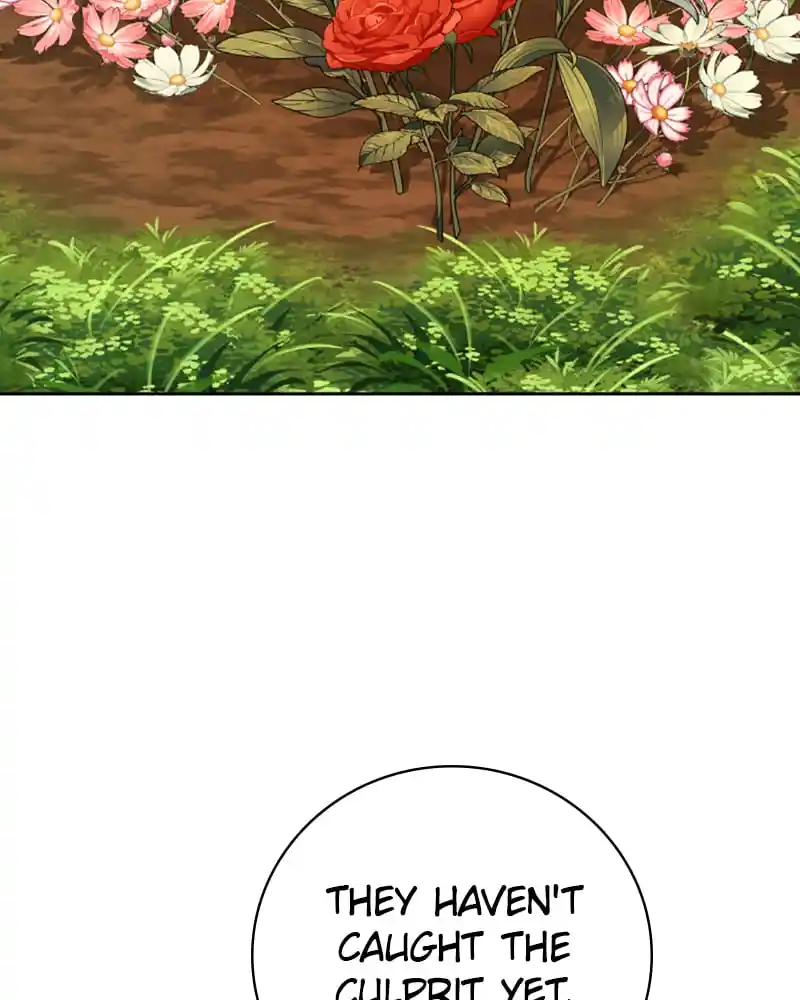 Your Throne Chapter 132