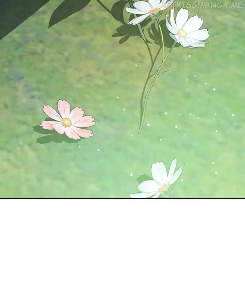 Your Throne Chapter 142