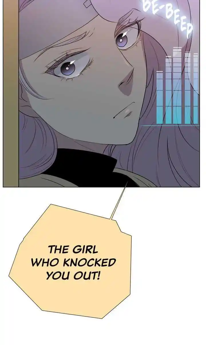 Youth Market Chapter 13