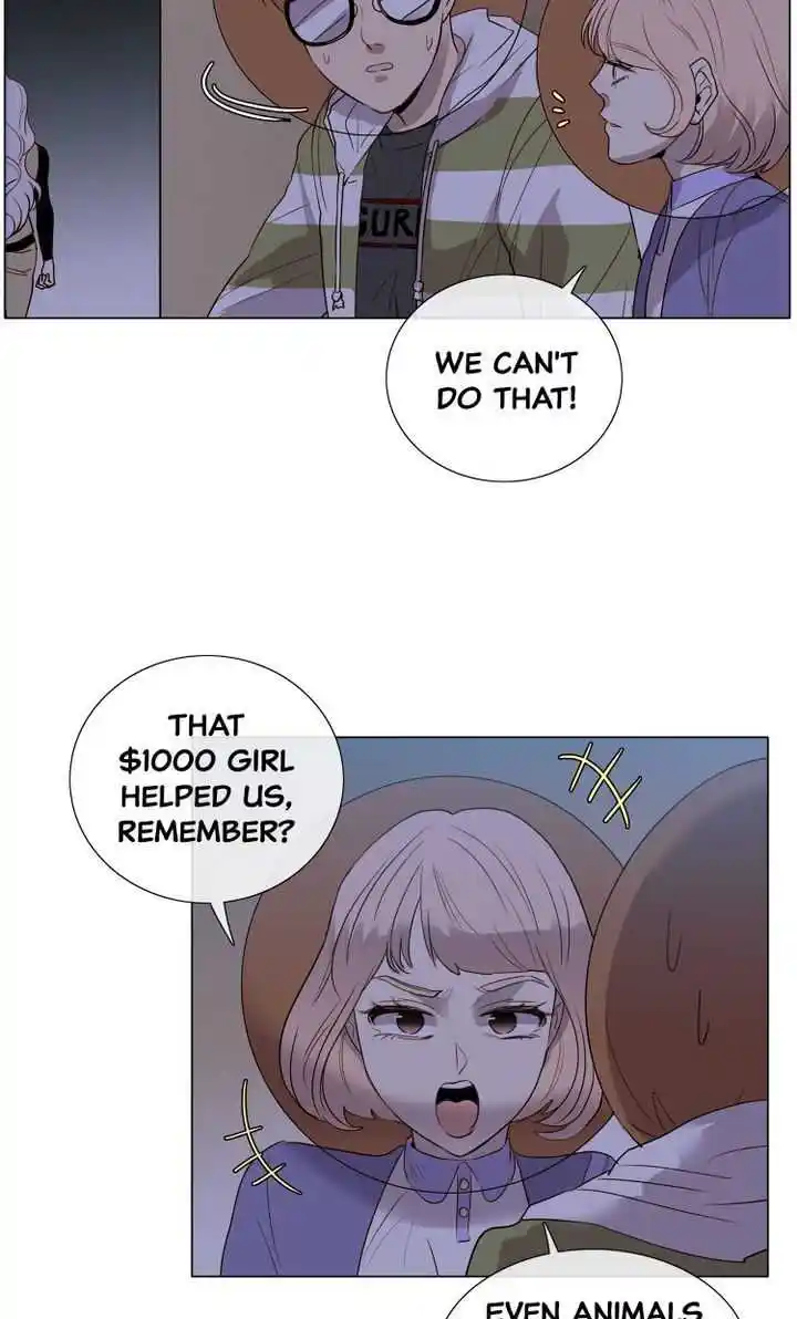 Youth Market Chapter 14